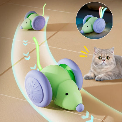 Interactive Electric Mouse Car Toy for Cats - Smarsty