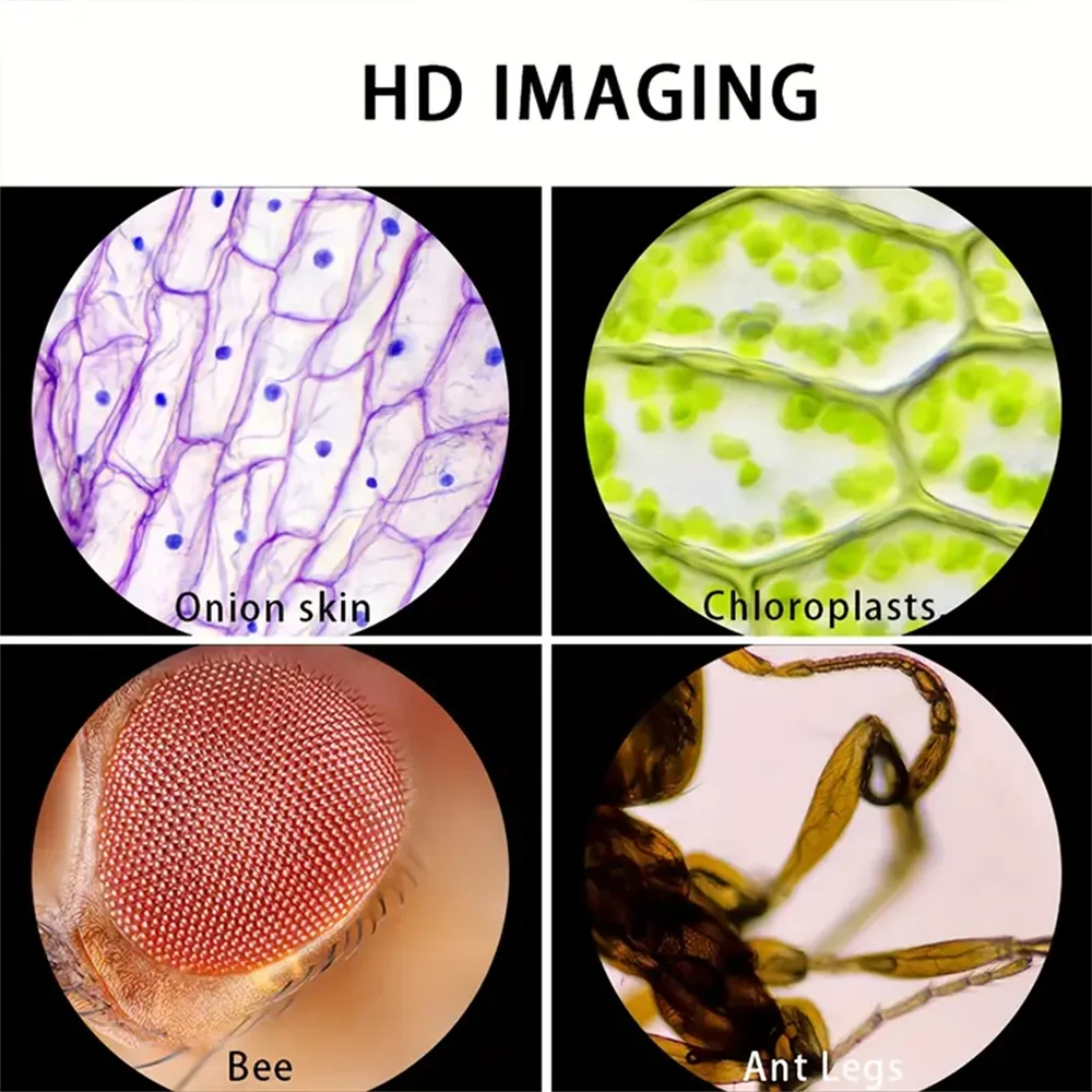 Handheld Microscope 60-120x With LED Light for Kids - Smarsty