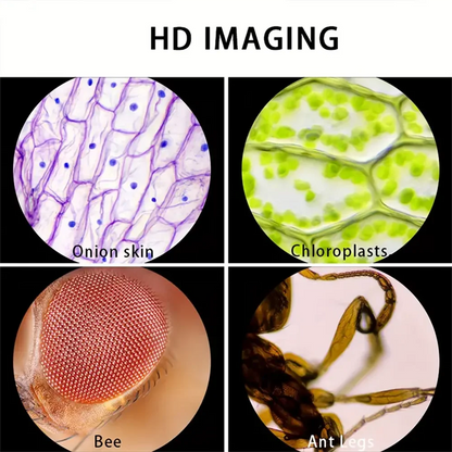 Handheld Microscope 60-120x With LED Light for Kids - Smarsty