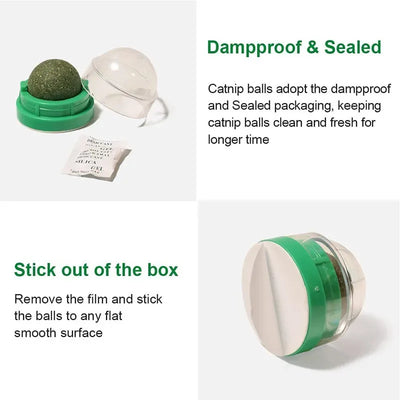 Natural Catnip Ball Toy for Healthy Digestion - Smarsty