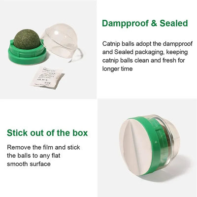 Natural Catnip Ball Toy for Healthy Digestion - Smarsty