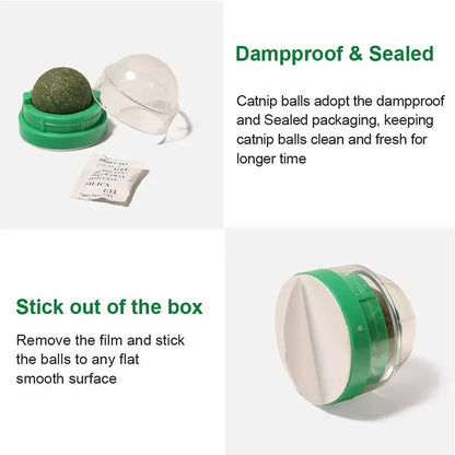 Natural Catnip Ball Toy for Healthy Digestion - Smarsty