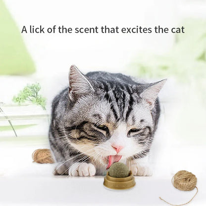 Natural Catnip Ball Toy for Healthy Digestion - Smarsty