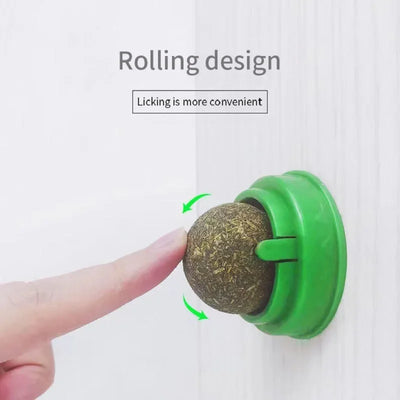 Natural Catnip Ball Toy for Healthy Digestion - Smarsty