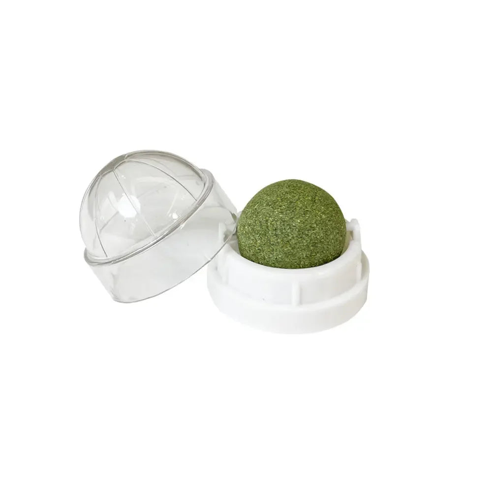 Natural Catnip Ball Toy for Healthy Digestion - Smarsty