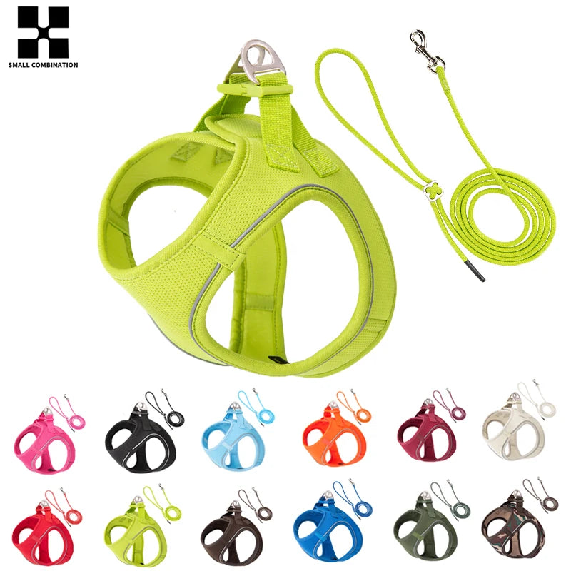 Adjustable Reflective Dog Harness Leash Set for Small Dogs - Smarsty