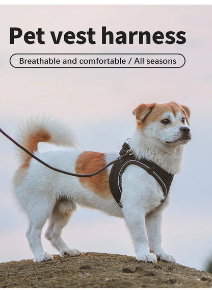 Adjustable Reflective Dog Harness Leash Set for Small Dogs - Smarsty