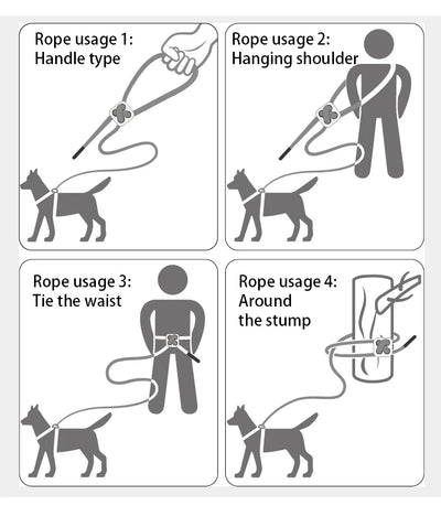 Adjustable Reflective Dog Harness Leash Set for Small Dogs - Smarsty