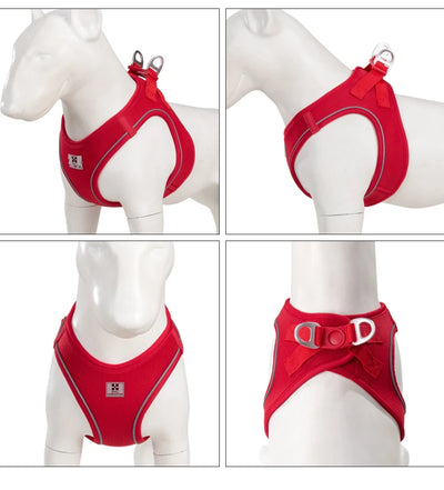 Adjustable Reflective Dog Harness Leash Set for Small Dogs - Smarsty