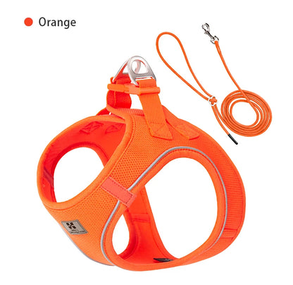 Adjustable Reflective Dog Harness Leash Set for Small Dogs - Smarsty
