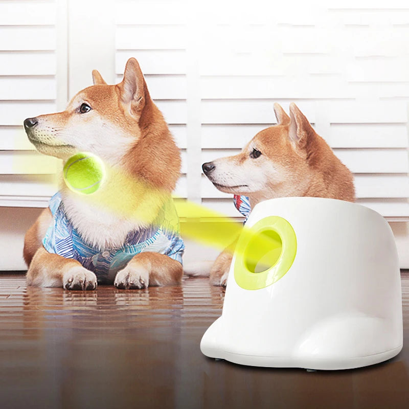 Automatic Dog Ball Launcher - Smarsty