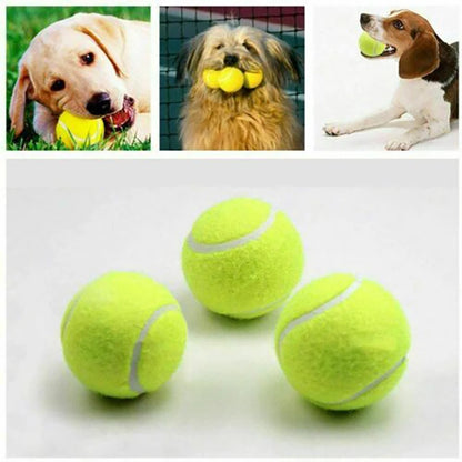 Automatic Dog Ball Launcher - Smarsty