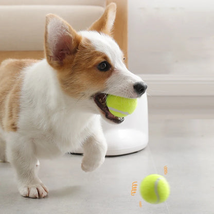 Automatic Dog Ball Launcher - Smarsty