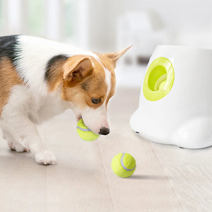 Automatic Dog Ball Launcher - Smarsty