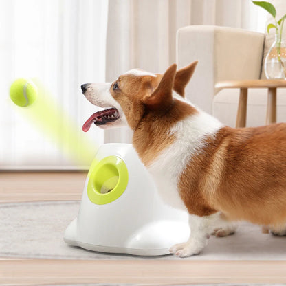 Automatic Dog Ball Launcher - Smarsty