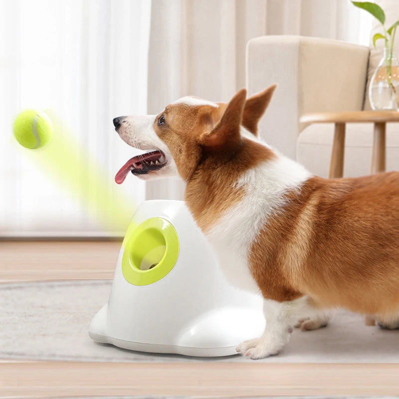 Automatic Dog Ball Launcher - Smarsty