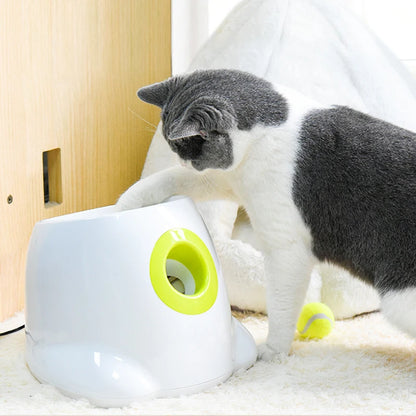 Automatic Dog Ball Launcher - Smarsty