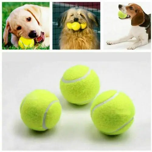 Automatic Dog Ball Launcher - Smarsty