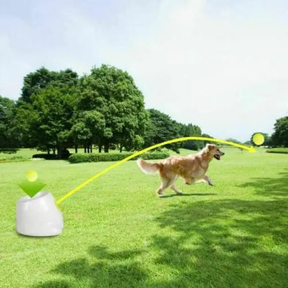 Automatic Dog Ball Launcher - Smarsty