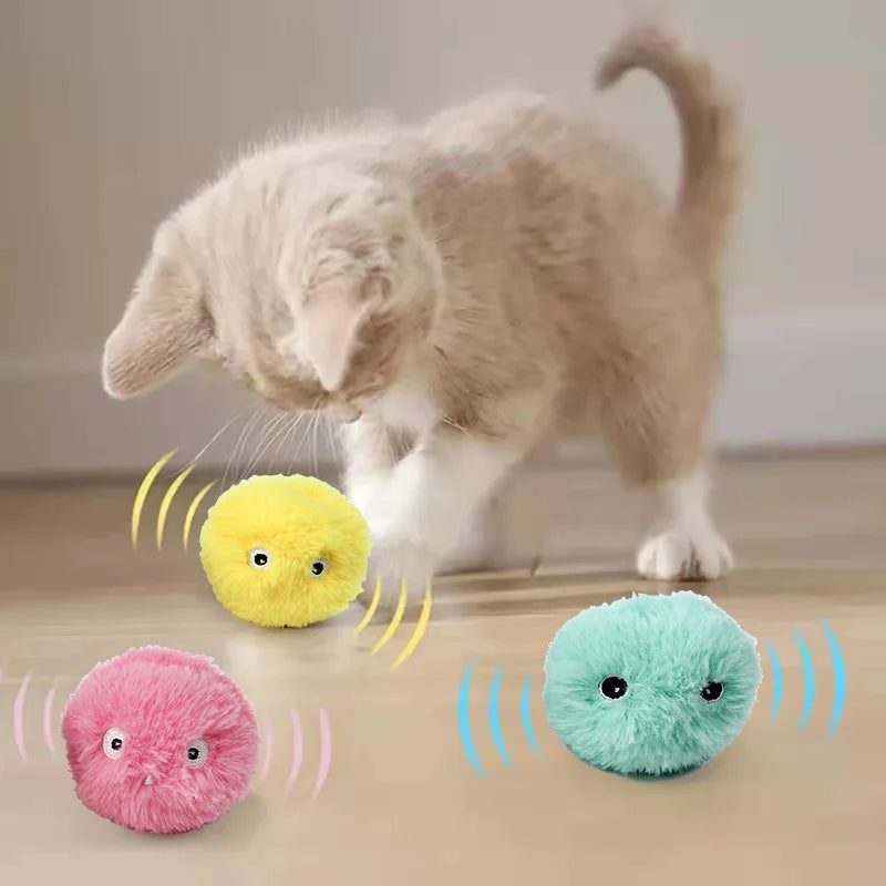 Interactive Catnip Squeaky Ball Toy for Kittens - Smarsty
