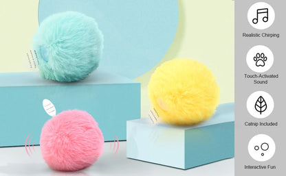 Interactive Catnip Squeaky Ball Toy for Kittens - Smarsty