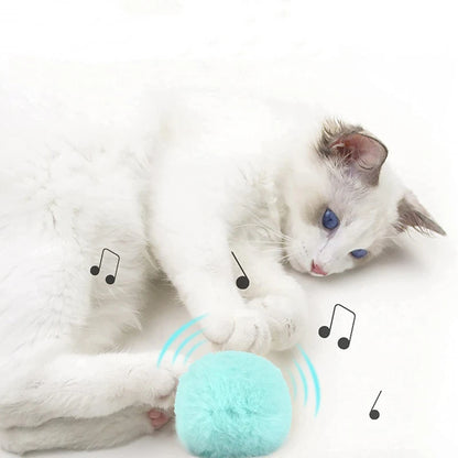 Interactive Catnip Squeaky Ball Toy for Kittens - Smarsty