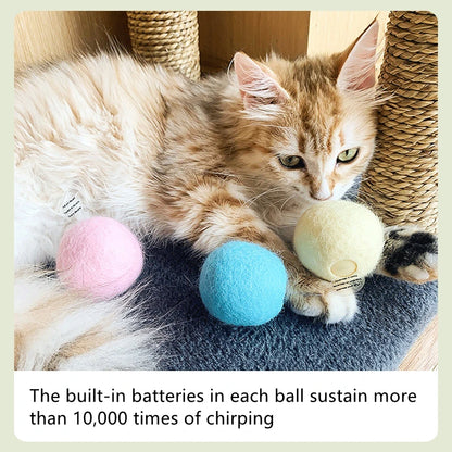 Interactive Catnip Squeaky Ball Toy for Kittens - Smarsty