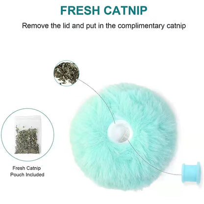 Interactive Catnip Squeaky Ball Toy for Kittens - Smarsty