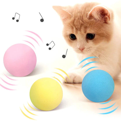 Interactive Catnip Squeaky Ball Toy for Kittens - Smarsty