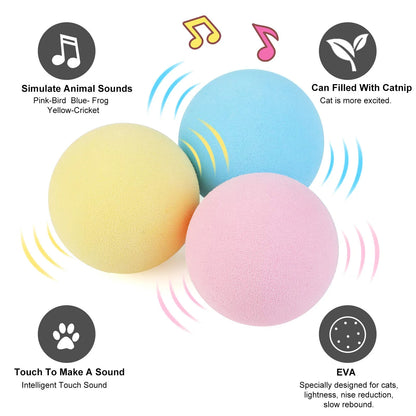 Interactive Catnip Squeaky Ball Toy for Kittens - Smarsty