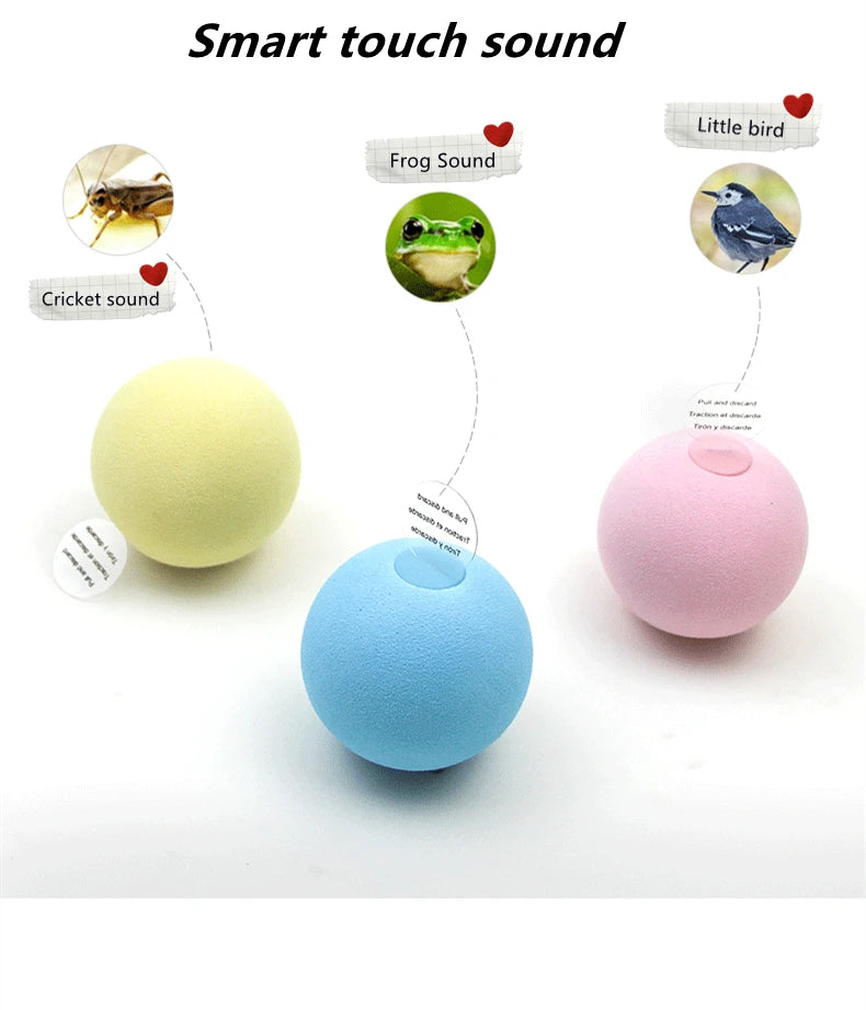 Interactive Catnip Squeaky Ball Toy for Kittens - Smarsty