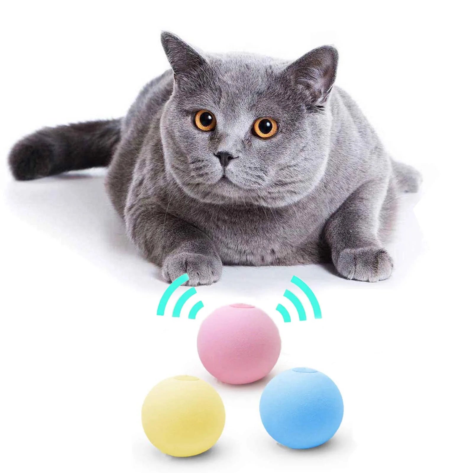Interactive Catnip Squeaky Ball Toy for Kittens - Smarsty