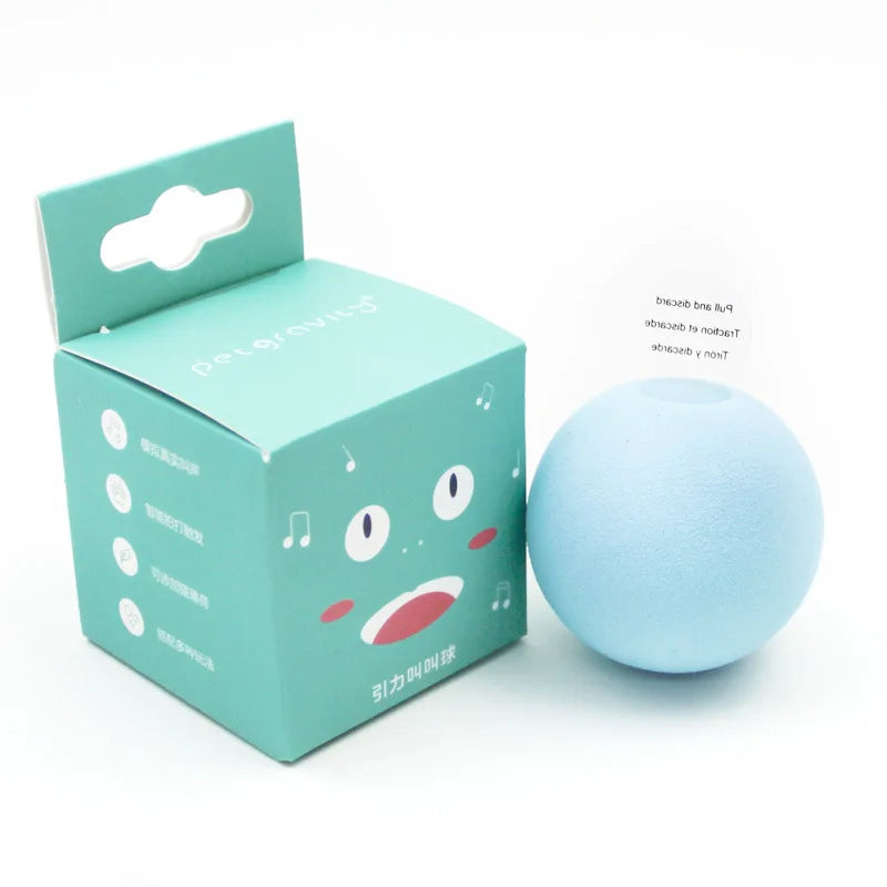Interactive Catnip Squeaky Ball Toy for Kittens - Smarsty
