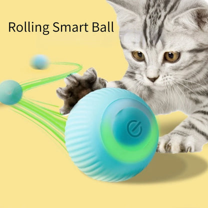 Smart Cat Rolling Ball Toys for Interactive Indoor Play - Smarsty
