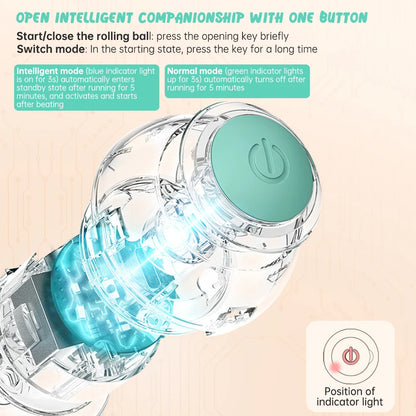 Smart Cat Rolling Ball Toys for Interactive Indoor Play - Smarsty