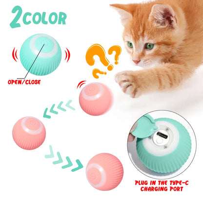 Smart Cat Rolling Ball Toys for Interactive Indoor Play - Smarsty