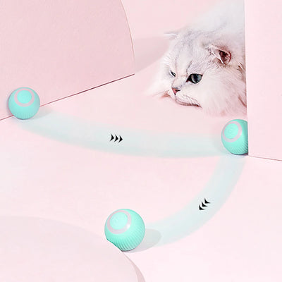 Smart Cat Rolling Ball Toys for Interactive Indoor Play - Smarsty