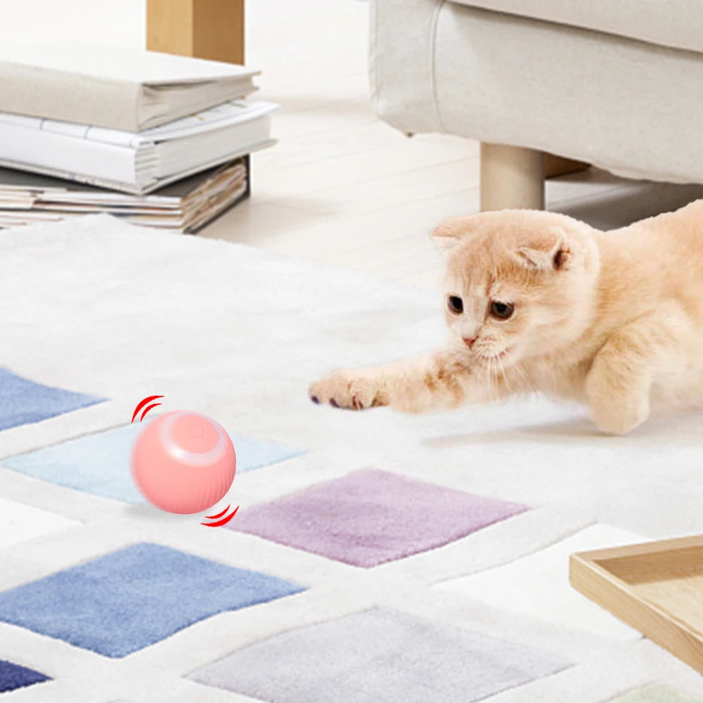 Smart Cat Rolling Ball Toys for Interactive Indoor Play - Smarsty