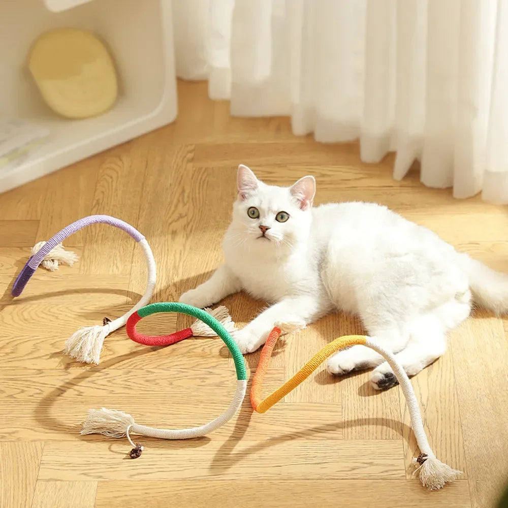Interactive Cat Teaser Toy with Molar Rope Benefits - Smarsty