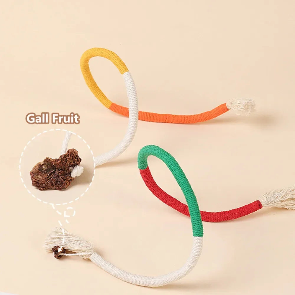 Interactive Cat Teaser Toy with Molar Rope Benefits - Smarsty