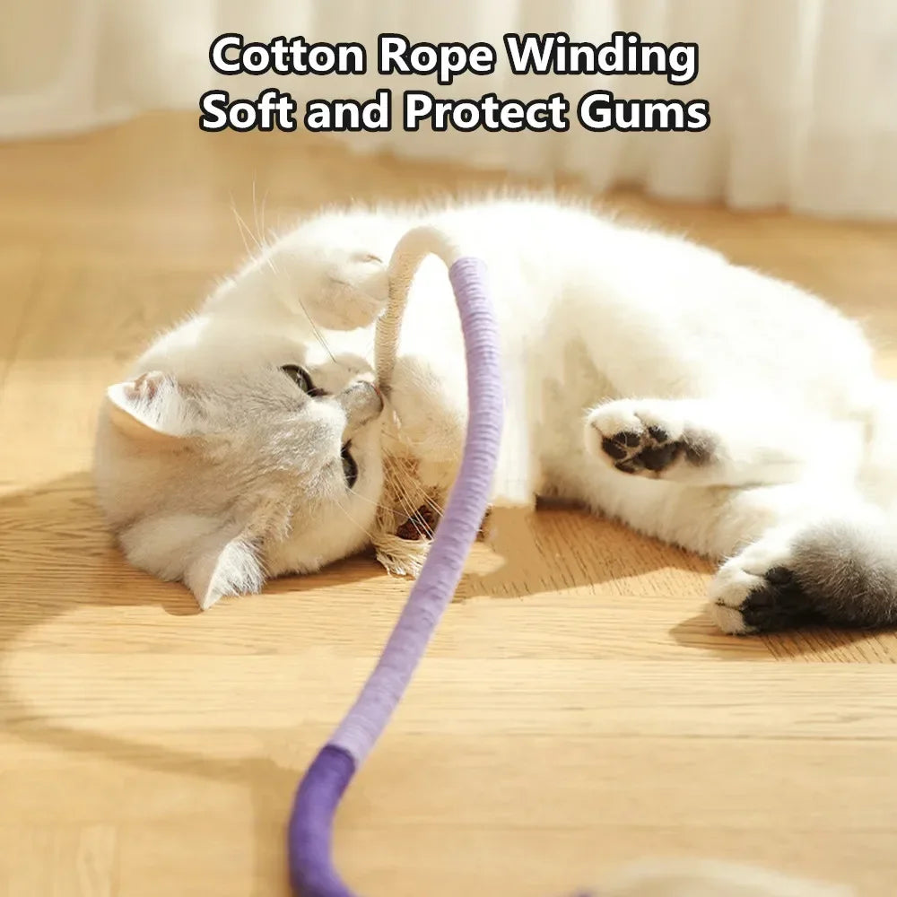 Interactive Cat Teaser Toy with Molar Rope Benefits - Smarsty