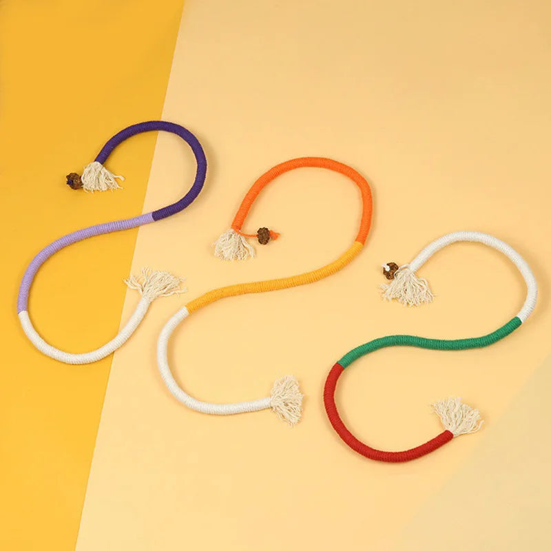 Interactive Cat Teaser Toy with Molar Rope Benefits - Smarsty