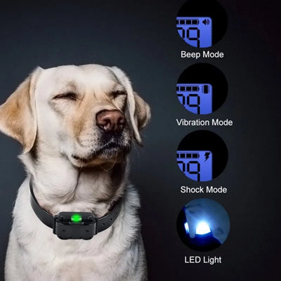 Rechargeable Electric Dog Training Collar with LCD Display - Smarsty